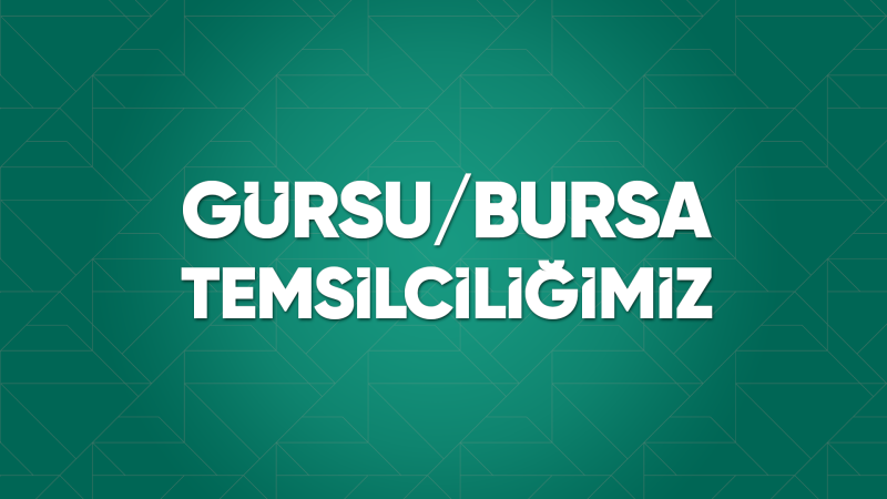 Gürsu / Bursa